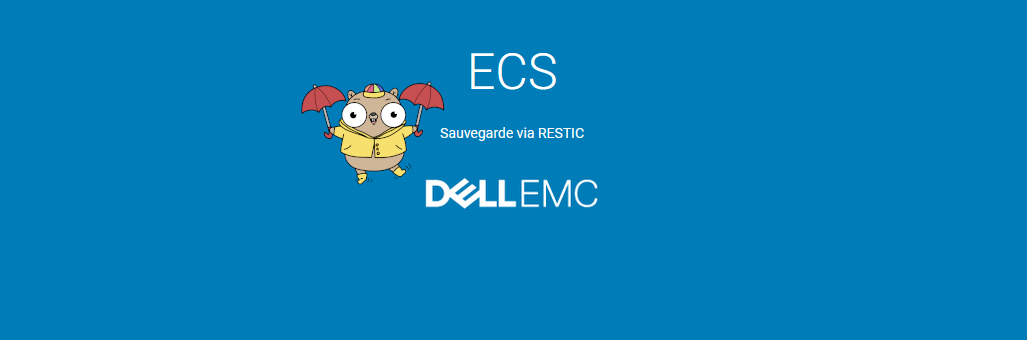 Dell ECS - Restic